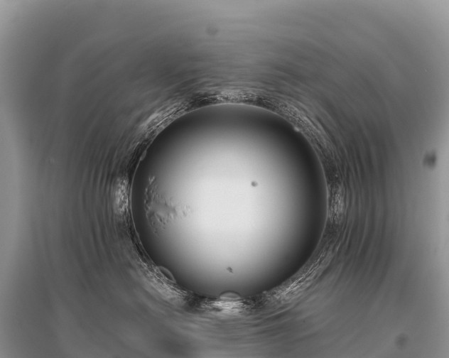 X0000096160478200801251131