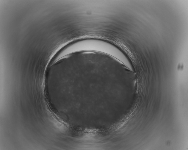 X0000096160484200801251131
