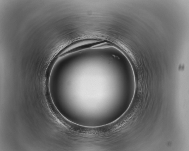 X0000096160485200801251131