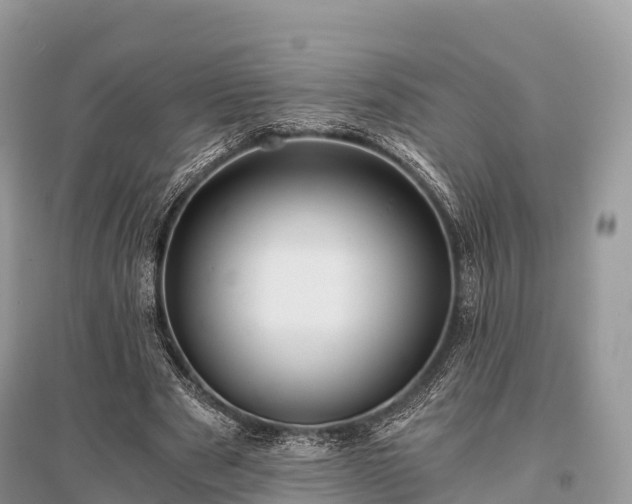 X0000096160489200801251131