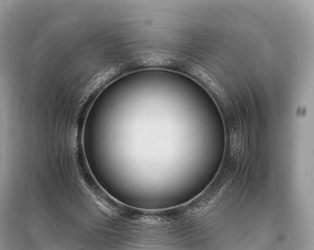 X0000096160490200801251131