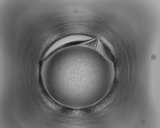 X0000096160493200801251131