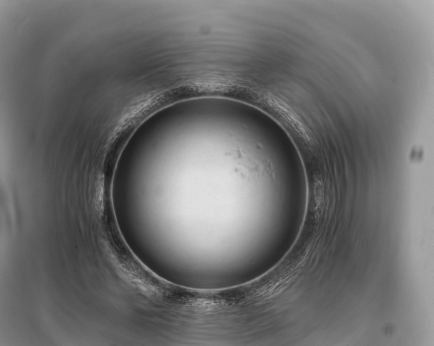 X0000096160494200801251131