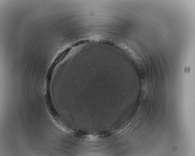 X0000096160496200801251131