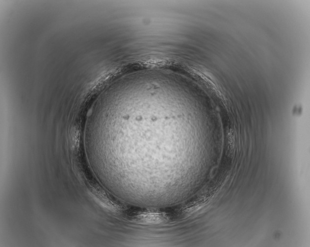 X0000096160499200801251131