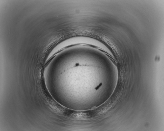 X0000096160501200801251131