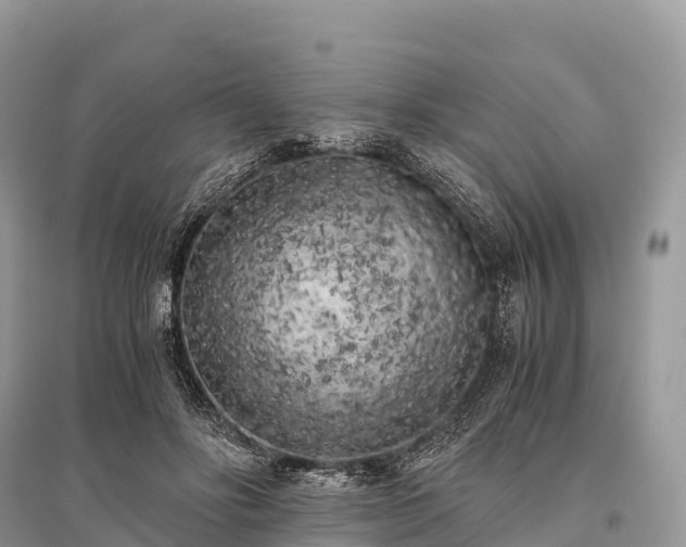 X0000096160502200801251131