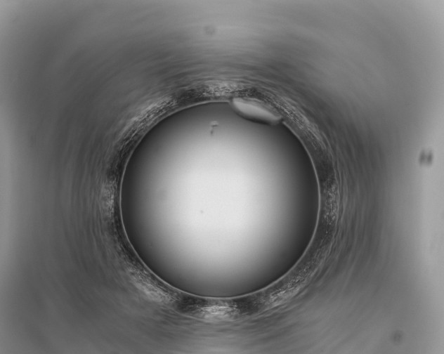 X0000096160505200801251130