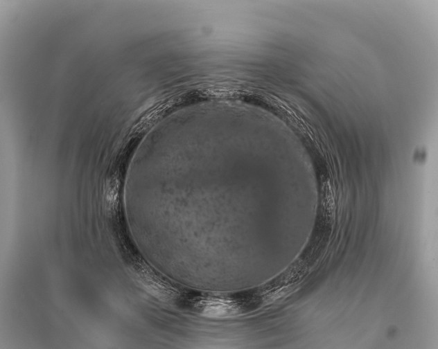 X0000096160507200801251130