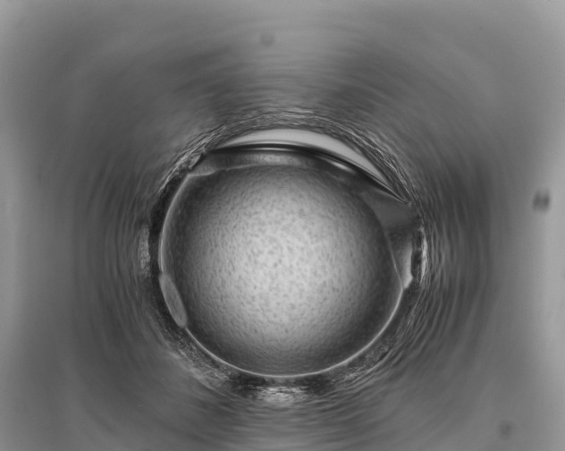 X0000096160508200801251130