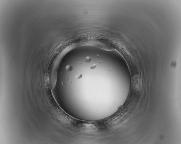 X0000096160509200801251130