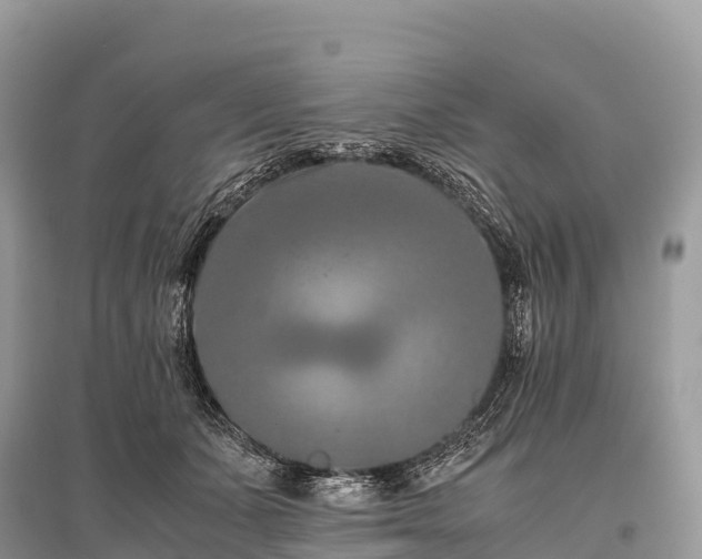 X0000096160511200801251130
