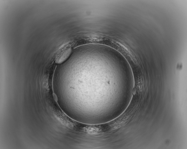 X0000096160512200801251130