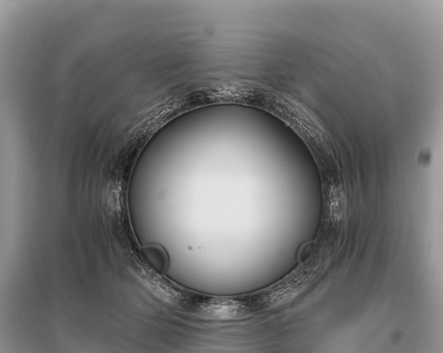 X0000096160514200801251130