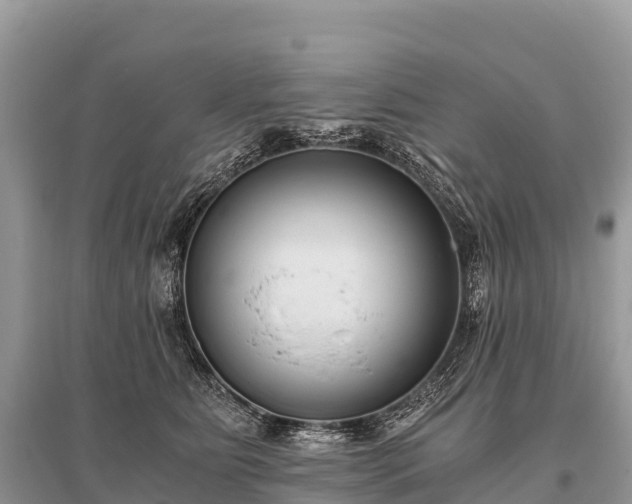 X0000096160515200801251130