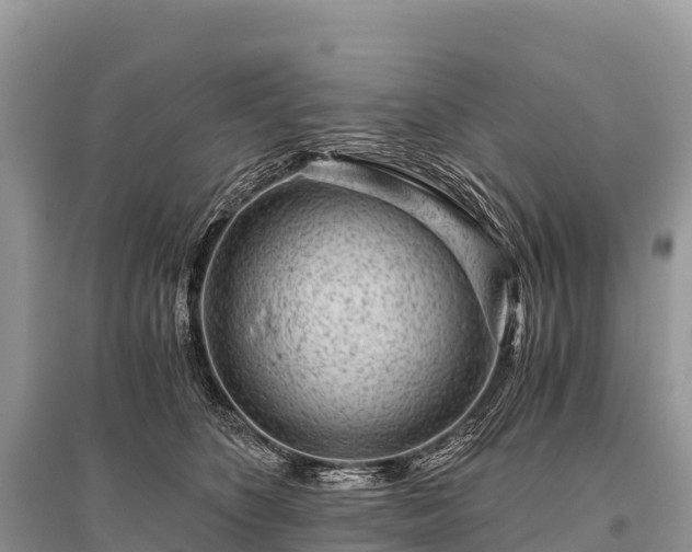 X0000096160516200801251130