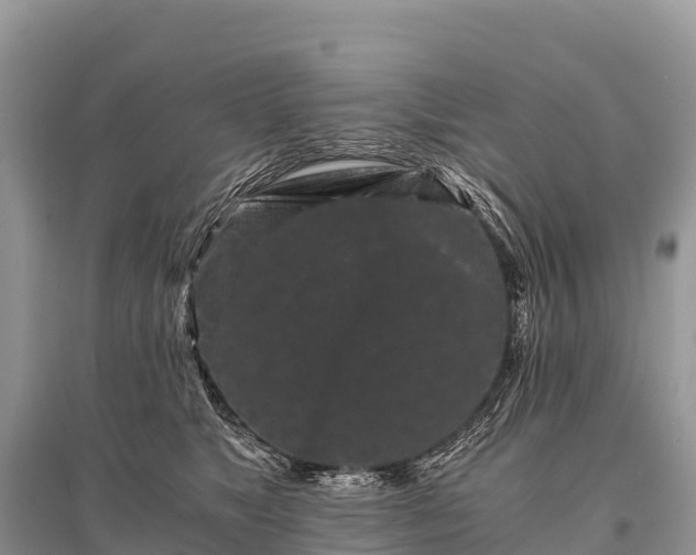 X0000096160517200801251130