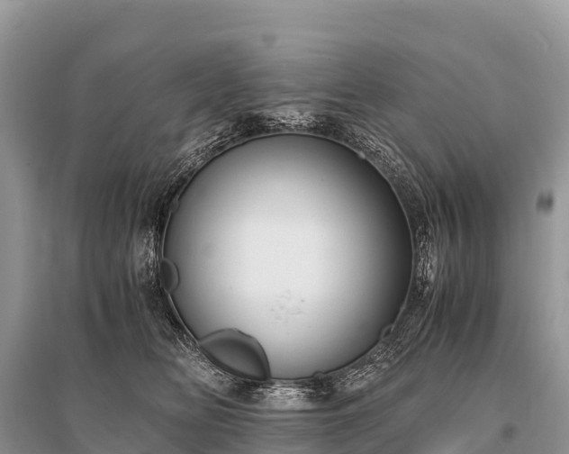 X0000096160518200801251130