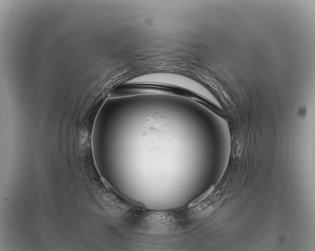 X0000096160521200801251130