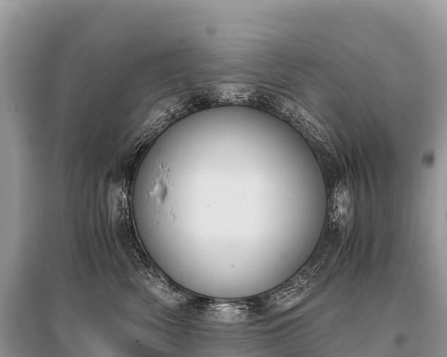 X0000096160522200801251130