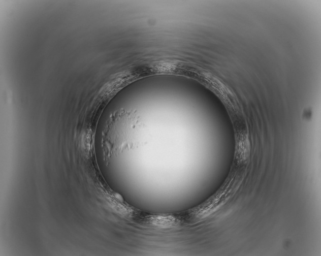 X0000096160525200801251130
