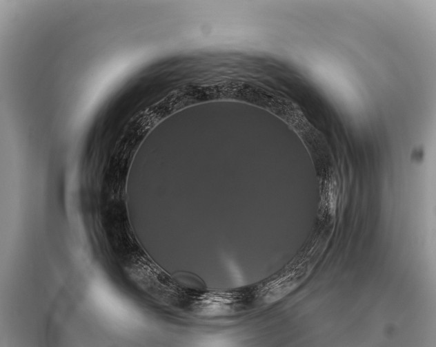 X0000096160526200801251130