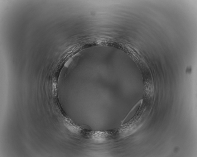 X0000096160527200801251130