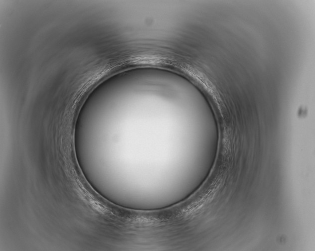 X0000096160529200801251129