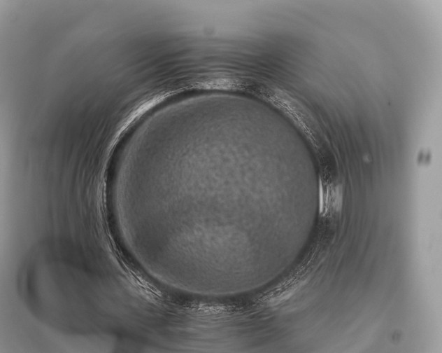 X0000096160531200801251129