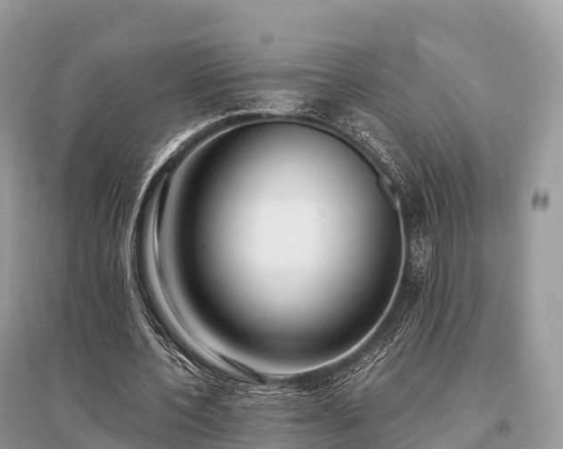 X0000096160532200801251129