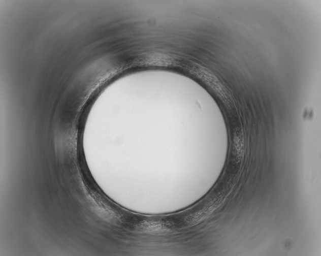X0000096160534200801251129