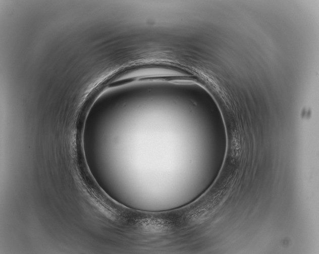 X0000096160535200801251129
