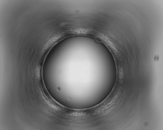 X0000096160537200801251129