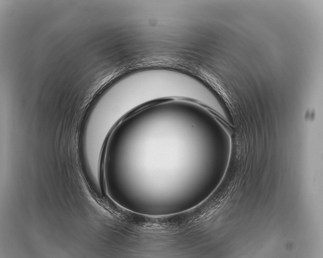X0000096160538200801251129