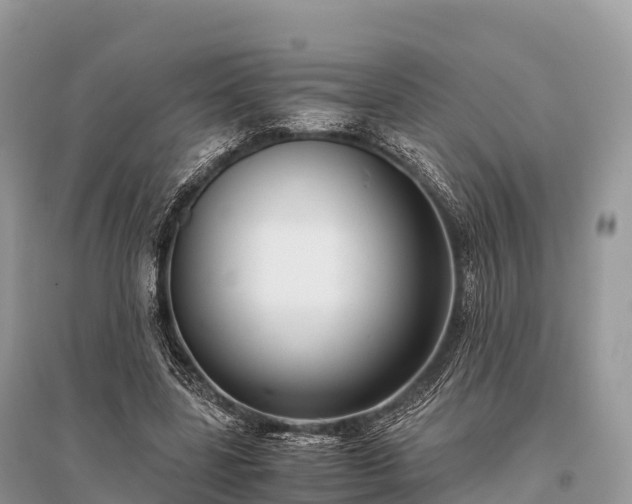 X0000096160539200801251129