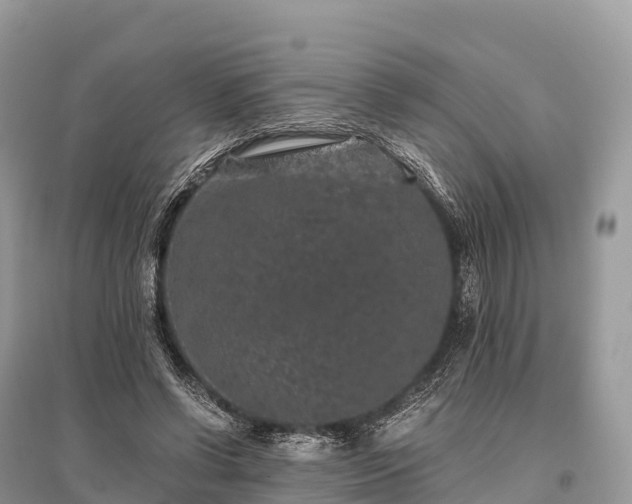 X0000096160542200801251130