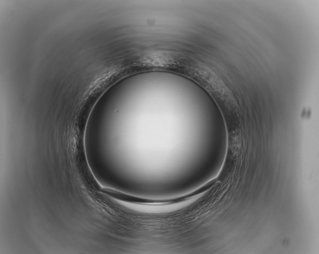 X0000096160544200801251130