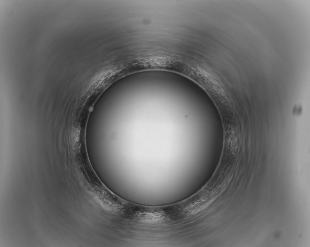 X0000096160548200801251130