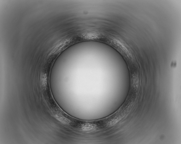 X0000096160549200801251130