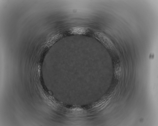 X0000096160551200801251130