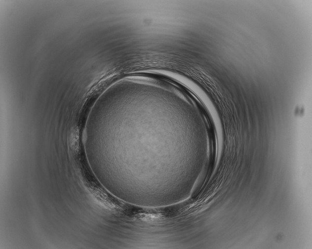 X0000096160552200801251130