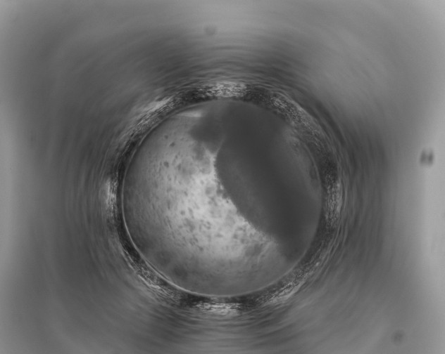X0000096160553200801251130