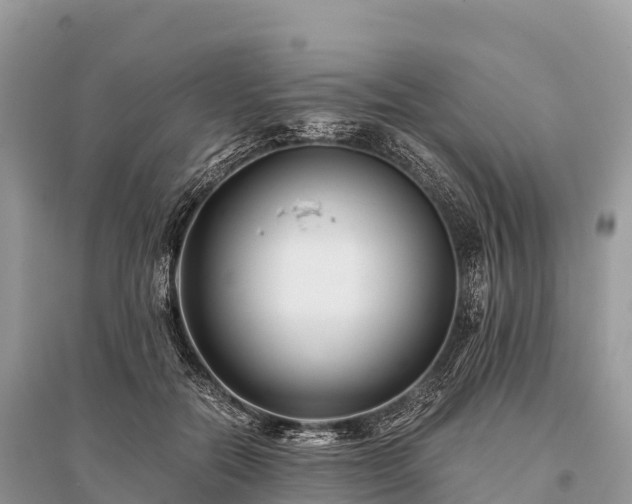 X0000096160554200801251130