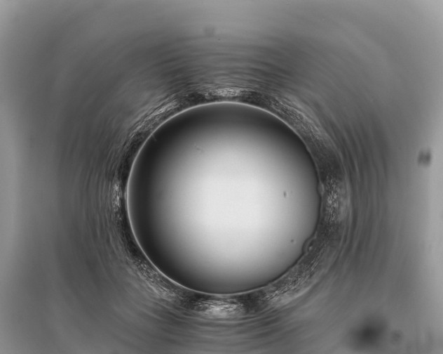 X0000096160555200801251130