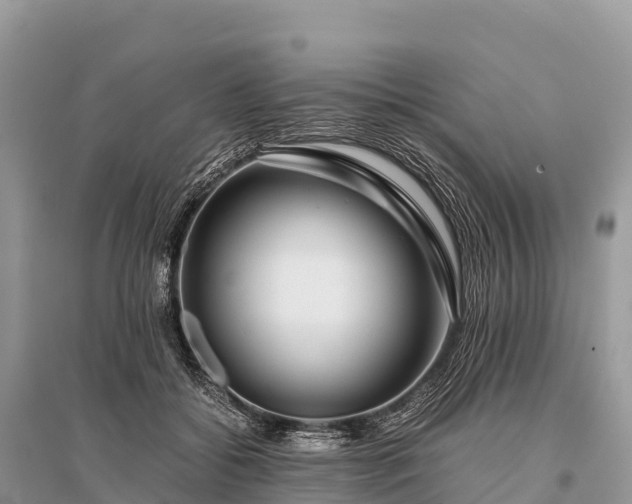 X0000096160556200801251130