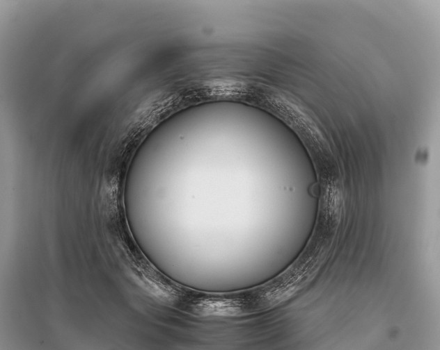 X0000096160557200801251130