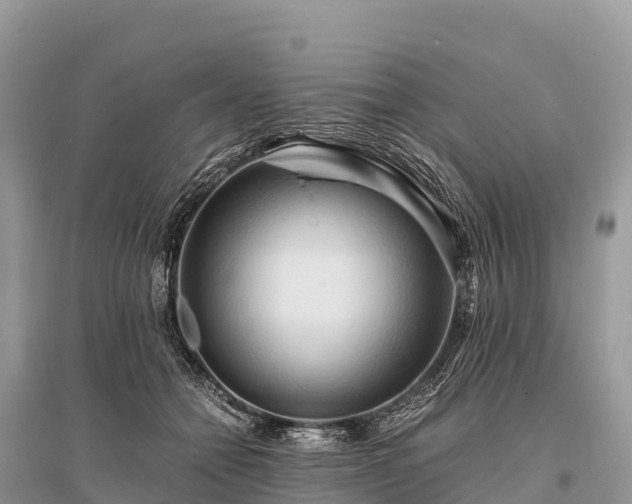 X0000096160558200801251130