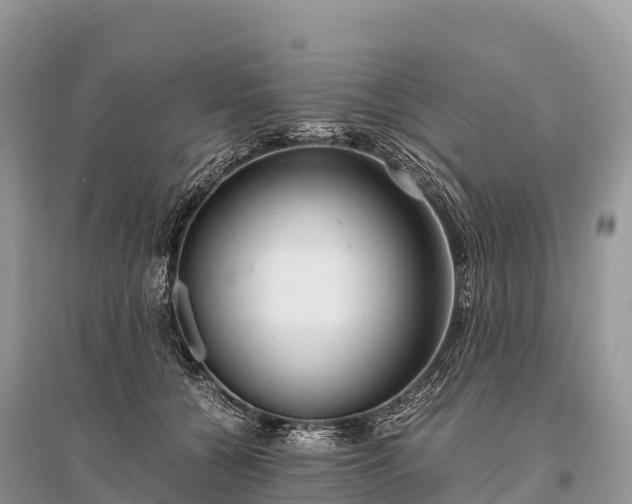 X0000096160560200801251130