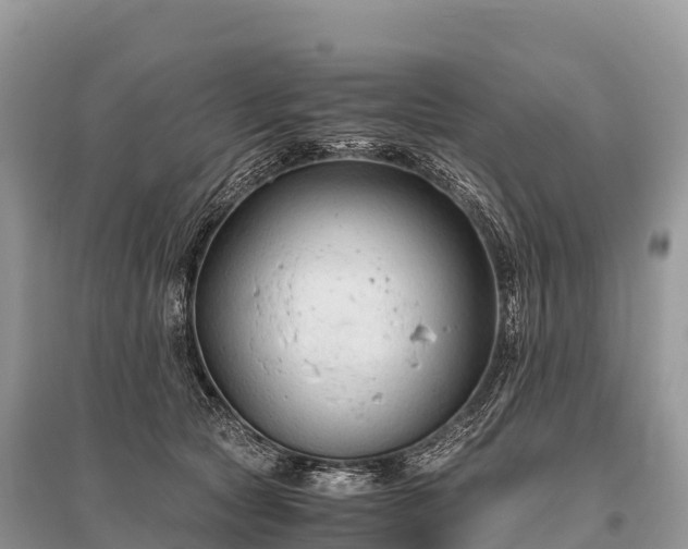 X0000096160561200801251130