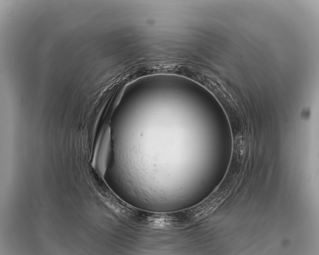X0000096160564200801251130